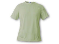 Basic T-Shirts