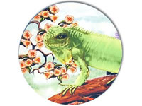 Coasters