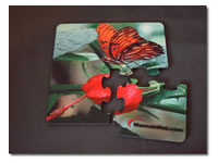 Coasters