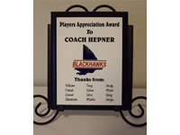 Plaques
