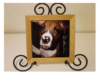 Wood Frames
